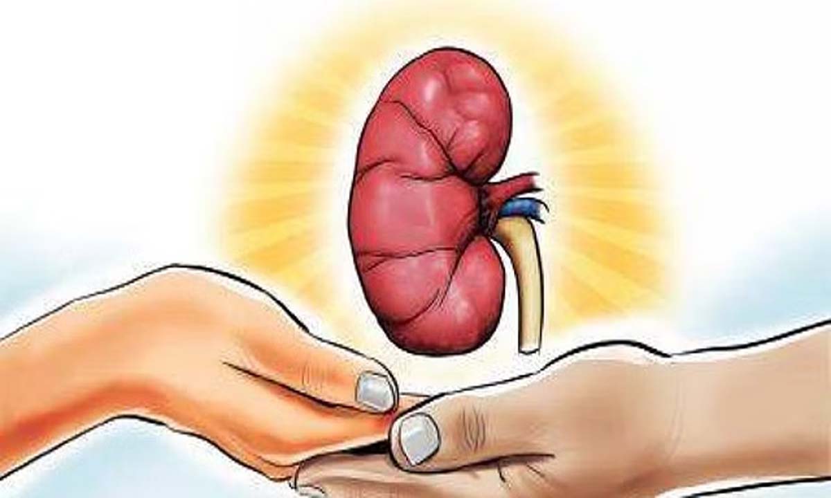 GUNTUR: दान की प्रतिज्ञा बढ़ने के बावजूद 3 हजार से अधिक लोग अंगों का इंतजार कर रहे