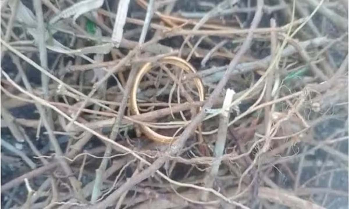 Kerala: चमक-दमक की चाहत रखने वाला कौआ केरल के ग्रामीणों को सहूलियत की तलाश में रखता