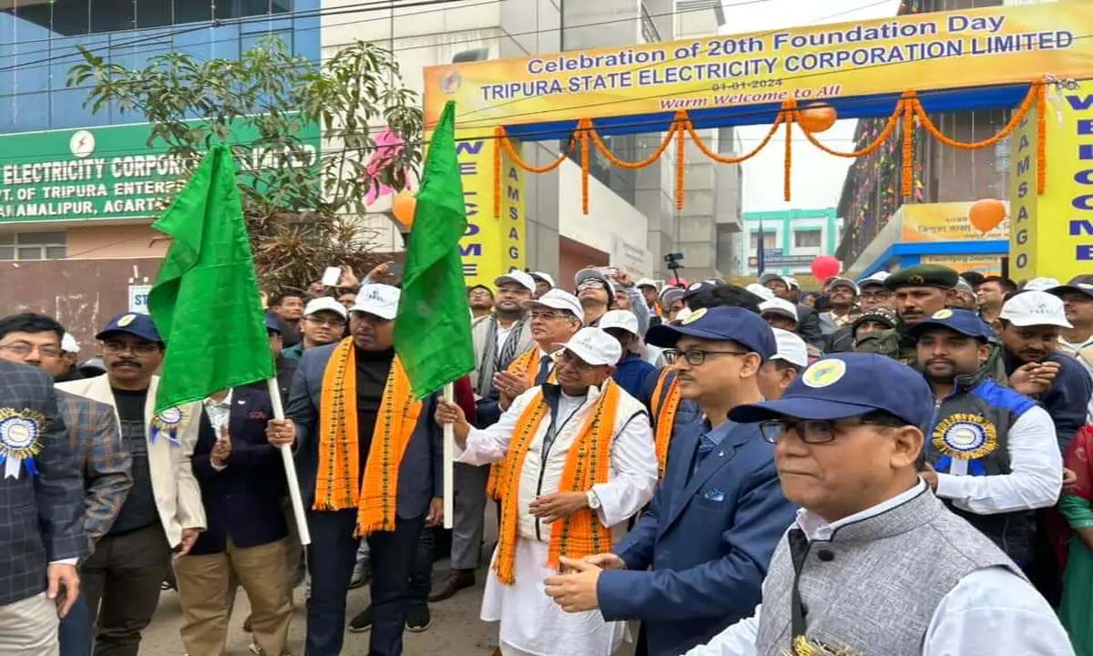 Ratan: नई तकनीक से बिजली बनाने से काफी पैसे की बचत होगी