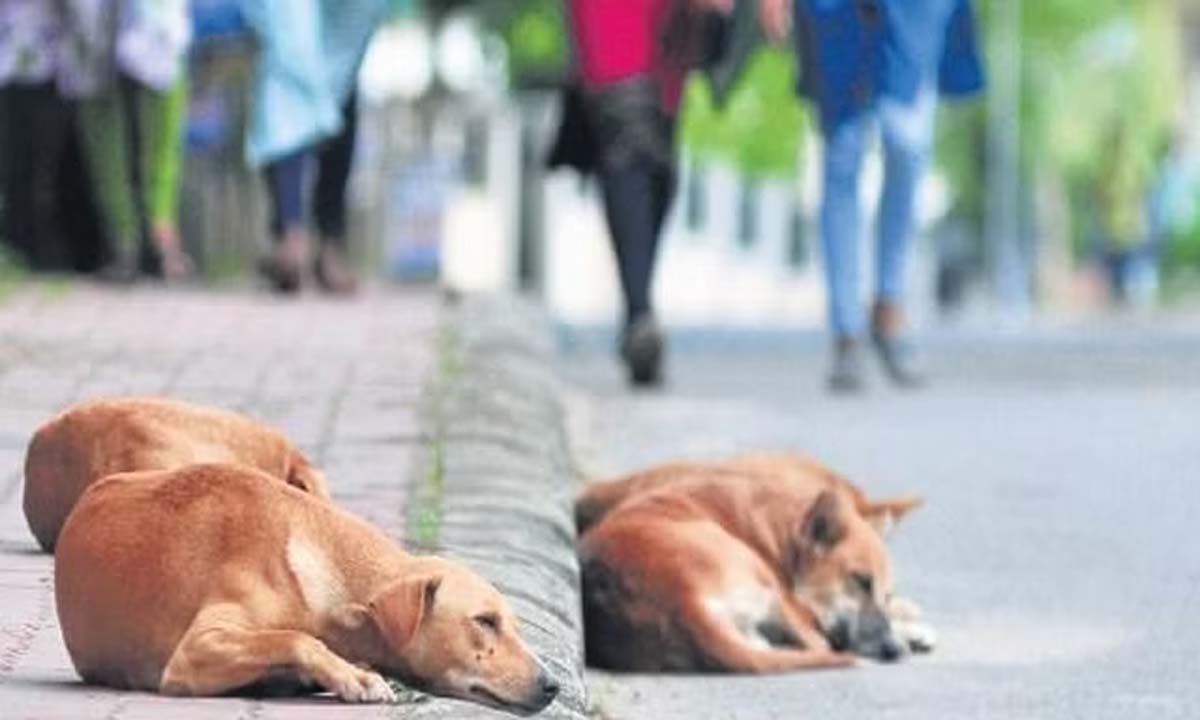 Andhra Pradesh: स्ट्रीट कुत्तों ने 7 साल की बच्ची पर हमला किया