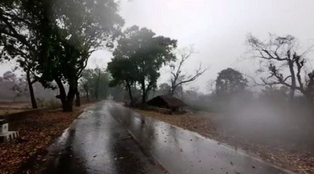 Odisha : लगातार बारिश के बाद सिमिलिपाल नेशनल पार्क आज पर्यटकों के लिए बंद कर दिया गया