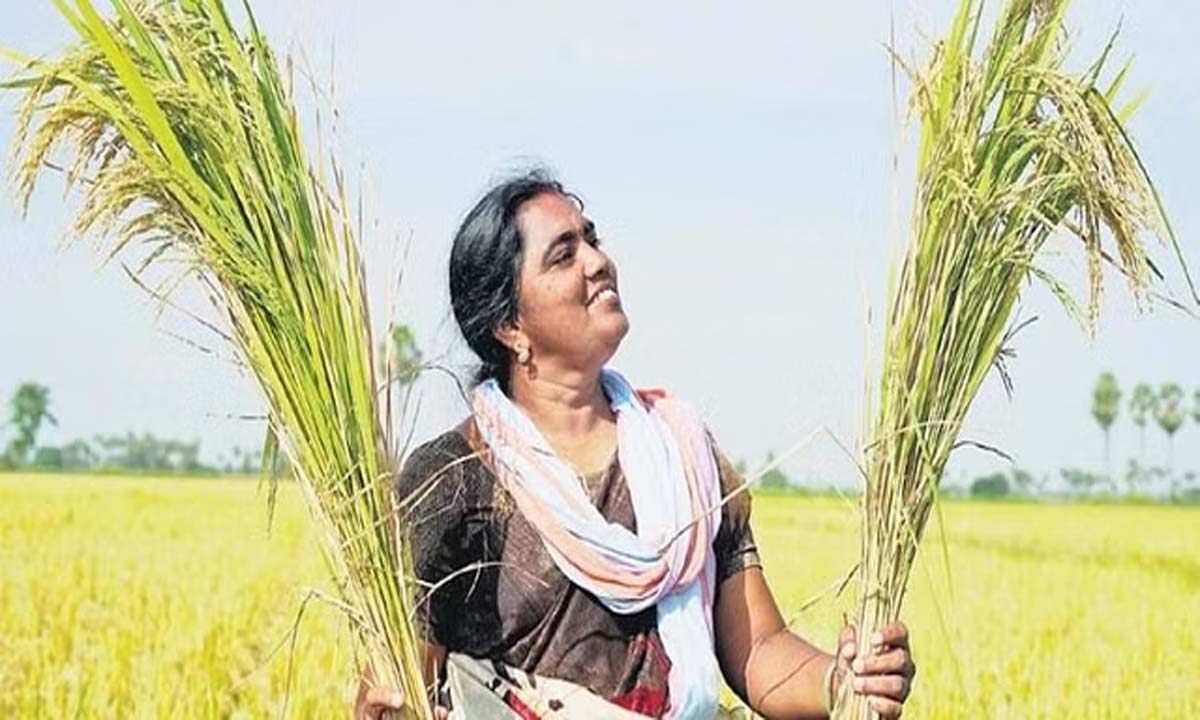 Andhra Pradesh: गुंटूर रैयत की प्राकृतिक खेती तकनीकों ने वैश्विक प्रशंसा हासिल