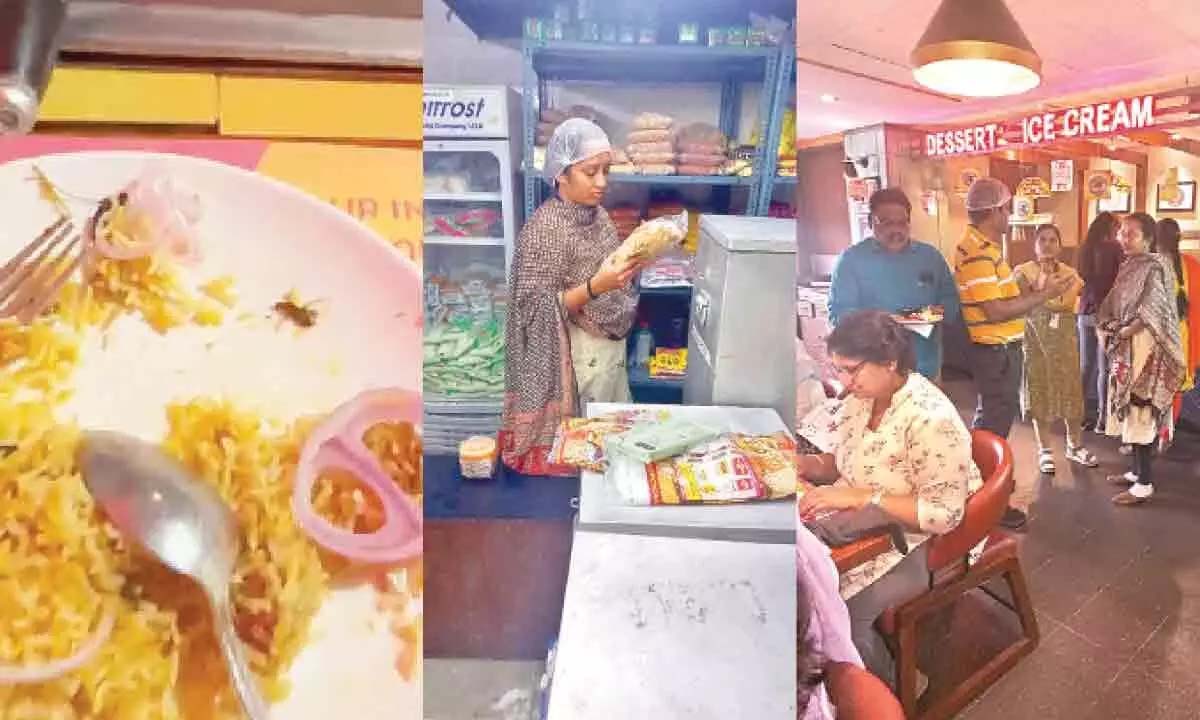 हैदराबादी नई खासियत कॉकरोच, छिपकली बिरयानी