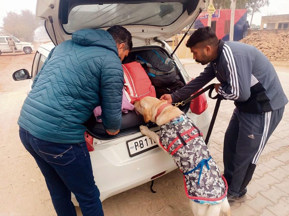 Haryana : ड्रग्स का पता लगाने और तस्करी नेटवर्क का भंडाफोड़ करने में खोजी कुत्तों को तैनात किया गया