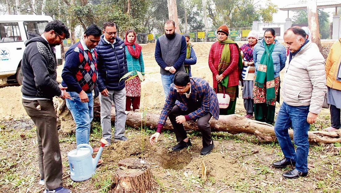 Himachal : बांस ऑक्सीजन पार्क में वृक्षारोपण अभियान शुरू