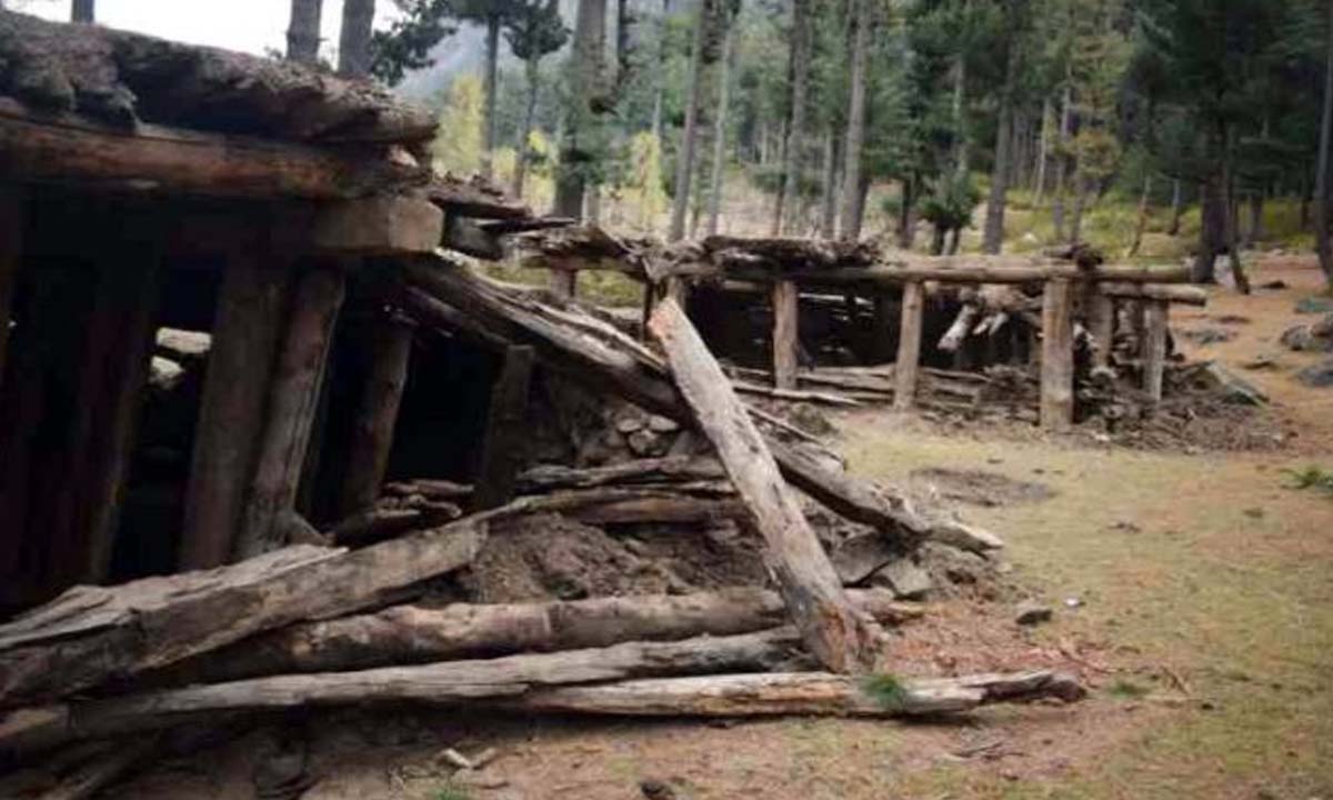 ब्रिन निवासियों ने वन विभाग पर भूमि अतिक्रमण का आरोप लगाया