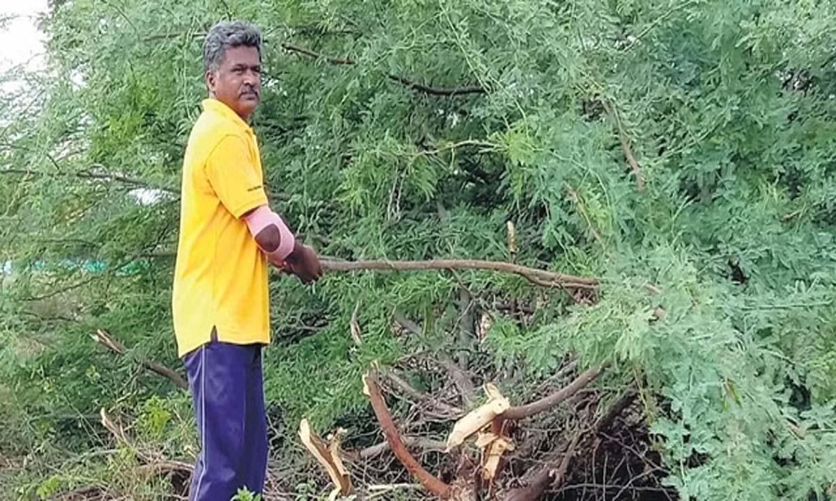 Subash Srinivasan: हरियाली को बचाने के लिए एक पुलिसकर्मी की एक दशक लंबी निगरानी