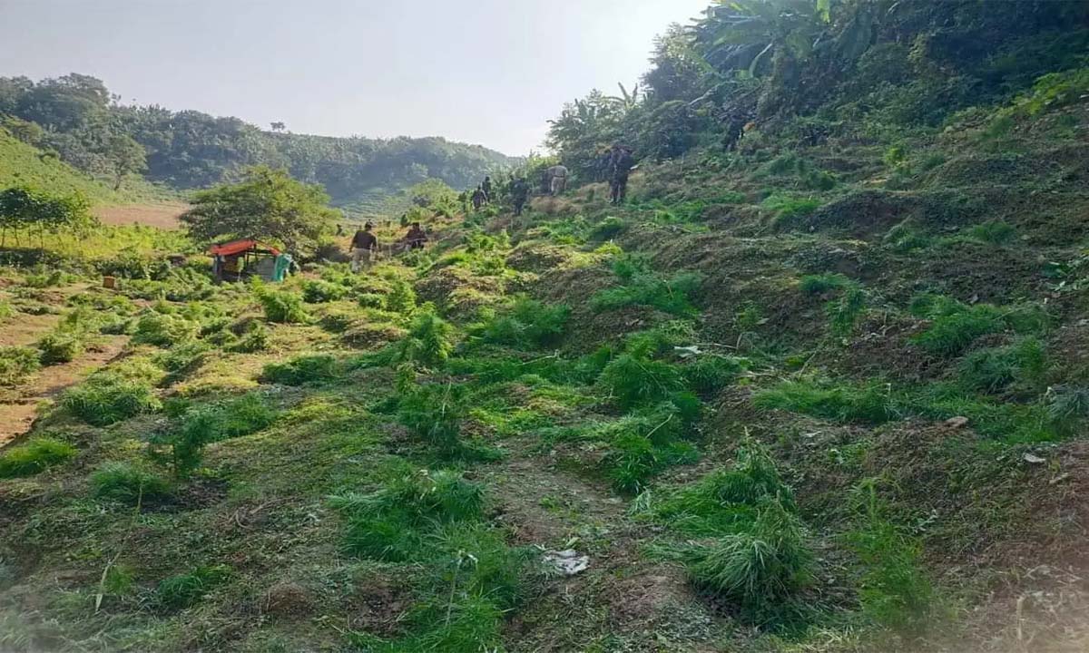 Agartala: नशा विरोधी अभियान में महत्वपूर्ण उपलब्धि