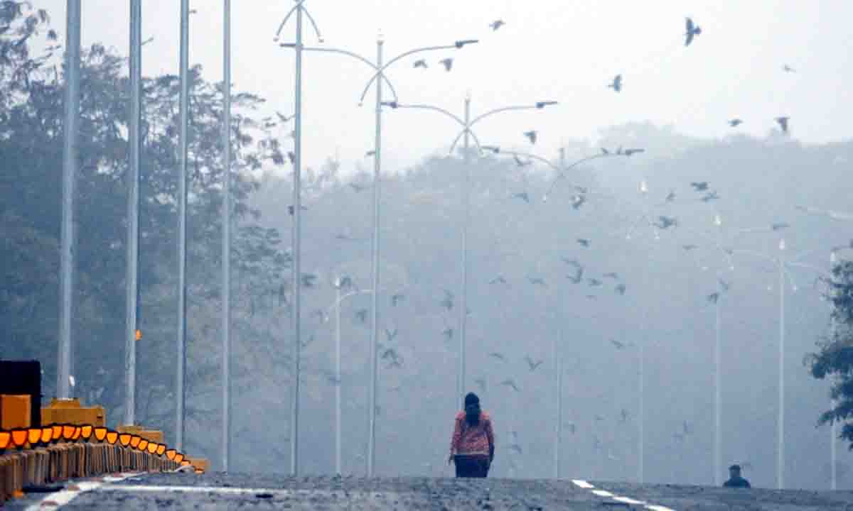 weather update : कड़ाके की ठंड इंदौर से गायब ,जनवरी में मौसम का अलग-अलग रंग दिखा रहा