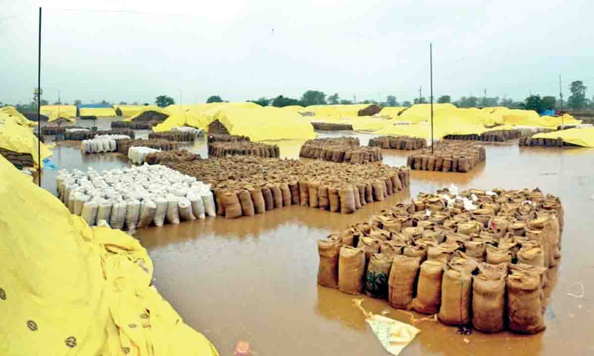 बारिश से भीगी खरीदी केंद्र पर रखी लाखों की धान, नहीं किए बचाव के इंतजाम