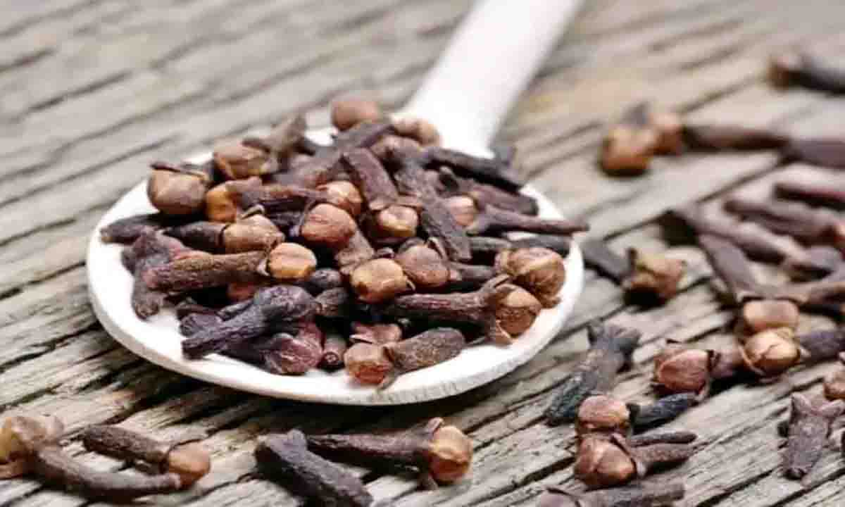 astrology news : 1 जनवरी को करें लौंग के ये टोटके, बुरी शक्तियां होंगी दूर