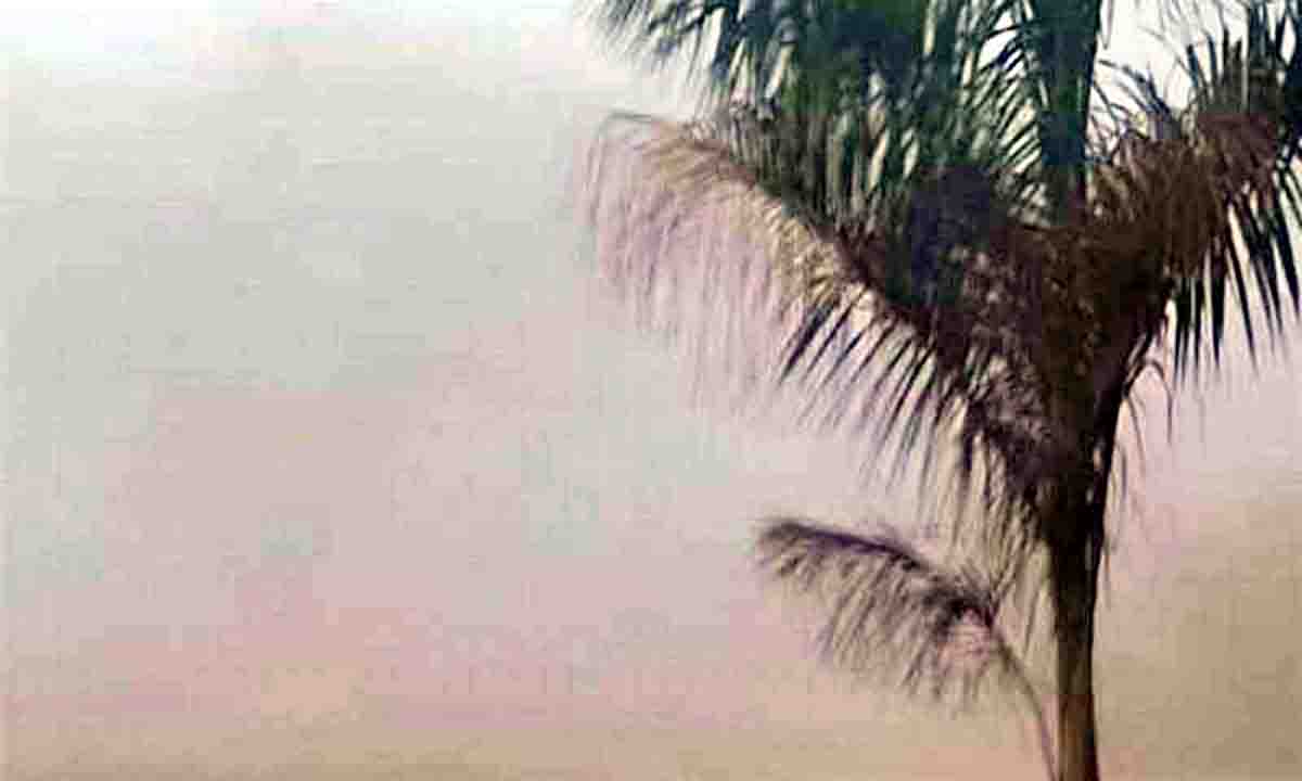 राजगढ़ जिला देर रात से कोहरे के आगोश,सुबह 9 बजे तक धुंध से निजात नहीं