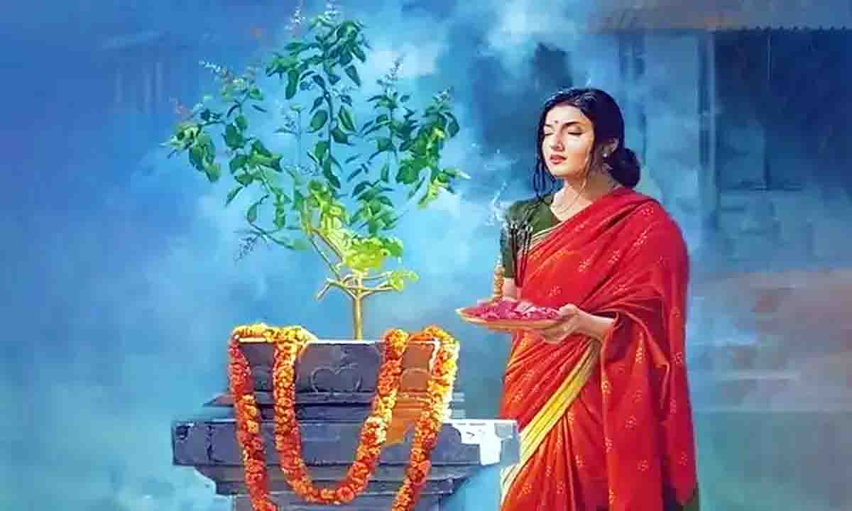astrology news : घर में लगाएं ये पौधा, कर्ज से मिलेगा छुटकारा