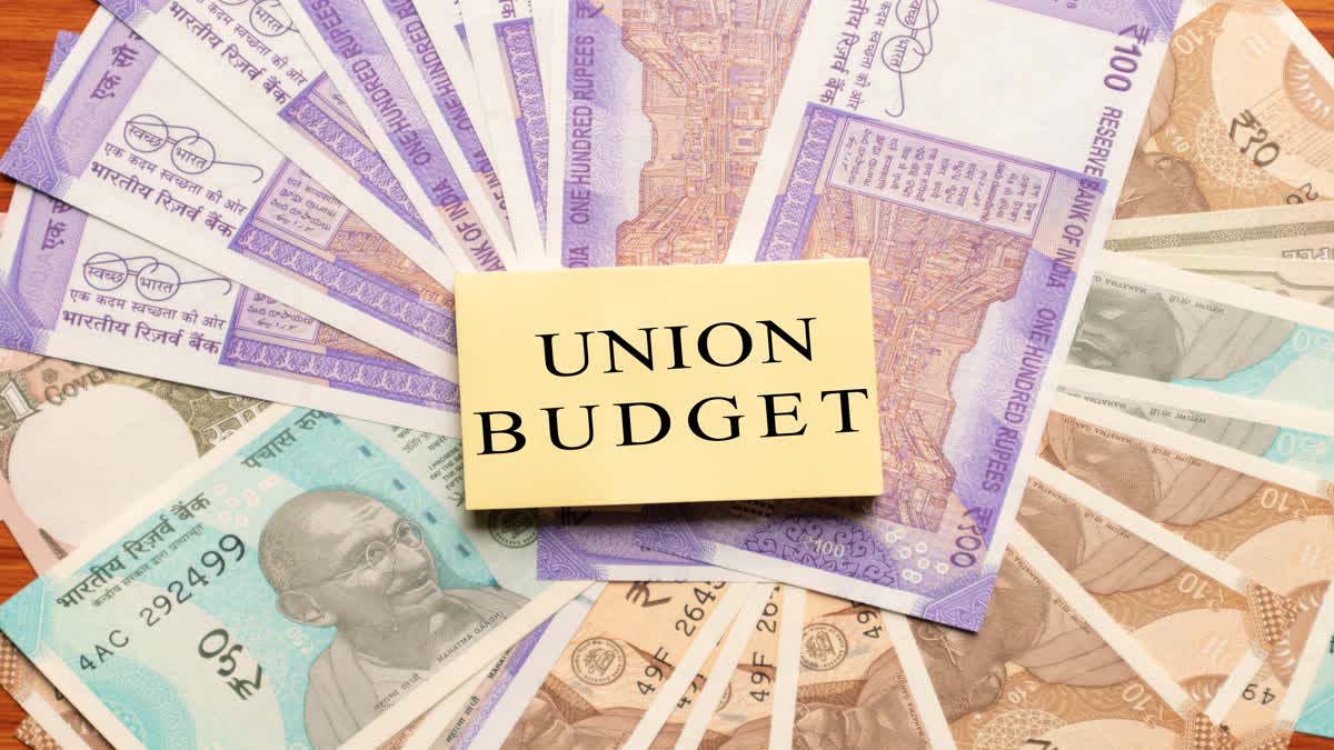 Budget 2024: वित्त मंत्री मोदी सरकार के दूसरे कार्यकाल का अंतिम बजट एक फरवरी को करेंगी पेश, ये कयास लगाने शुरू