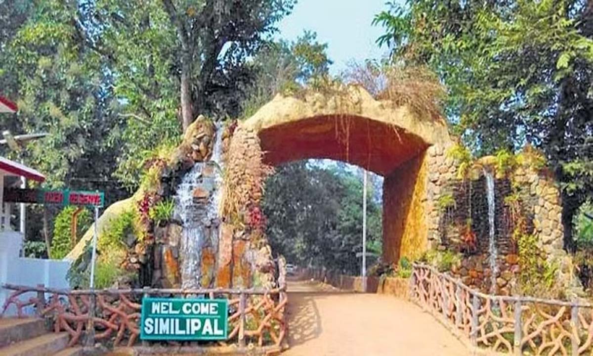 एसटीआर ने अवैध शिकार से लड़ने के लिए 6 स्ट्राइक फोर्स इकाइयाँ जोड़ीं