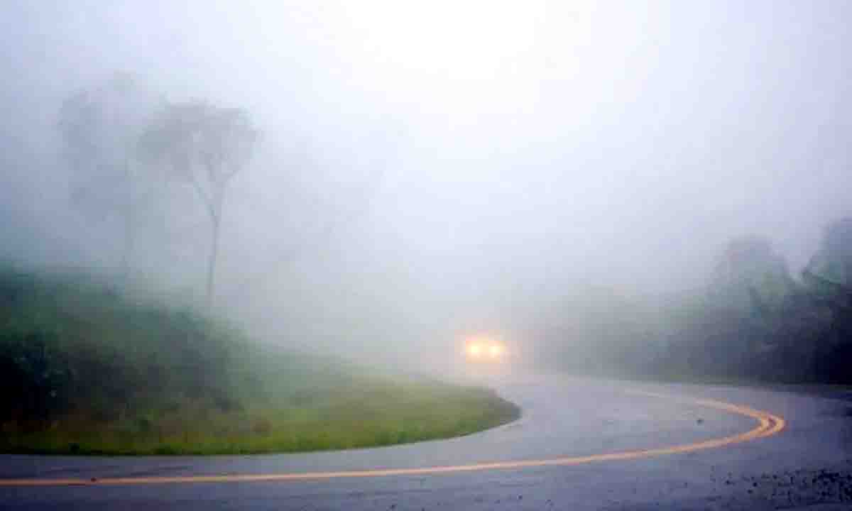 Weather Upadte : नए साल के पहले दिन छाया घना कोहरा जानें मौसम का मिजाज