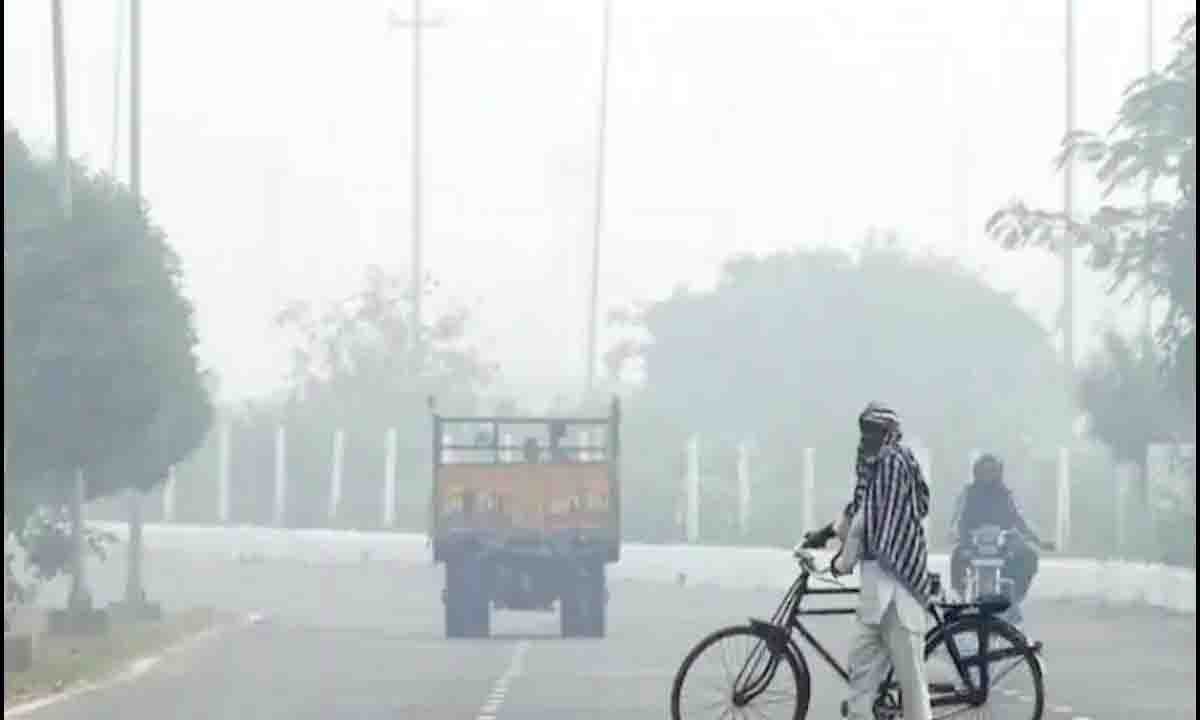 weather update : कड़ाके की ठंड इंदौर से गायब हो रही, सर्द हवाओंं ने बढ़ाई ठंडक, अब लगातार गिरेगा तापमान