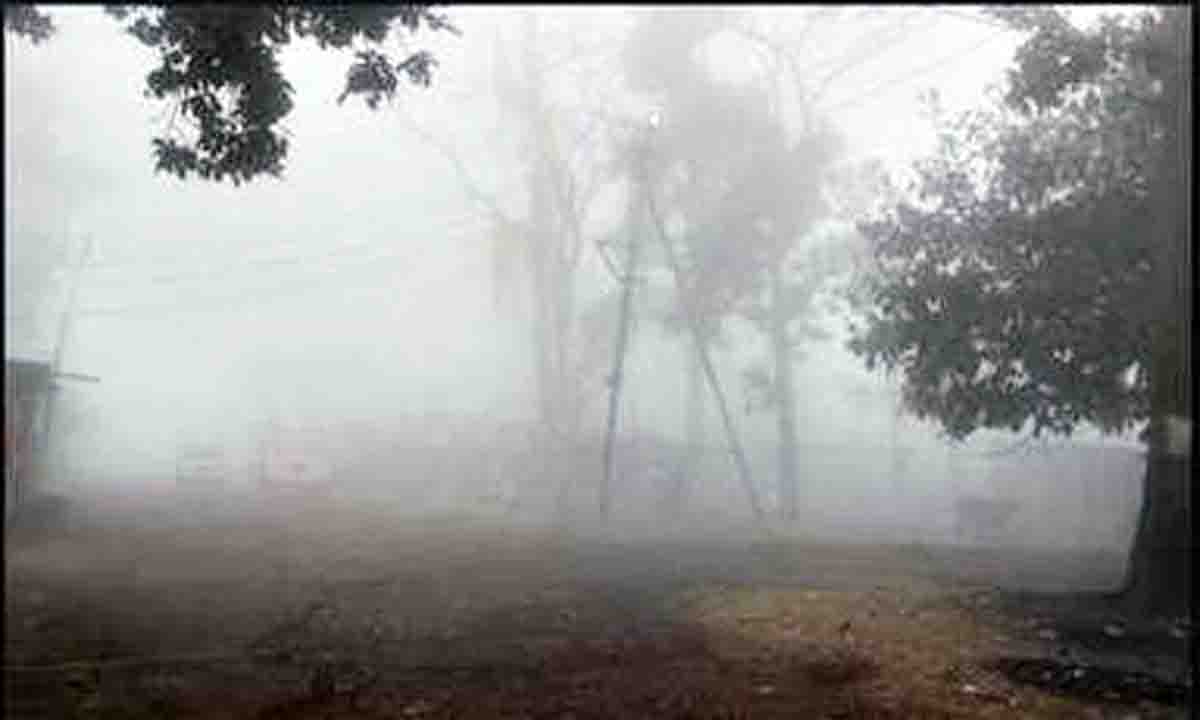 Kiriburu : सारंडा में कोहरे व ठंड से जन जीवन प्रभावित