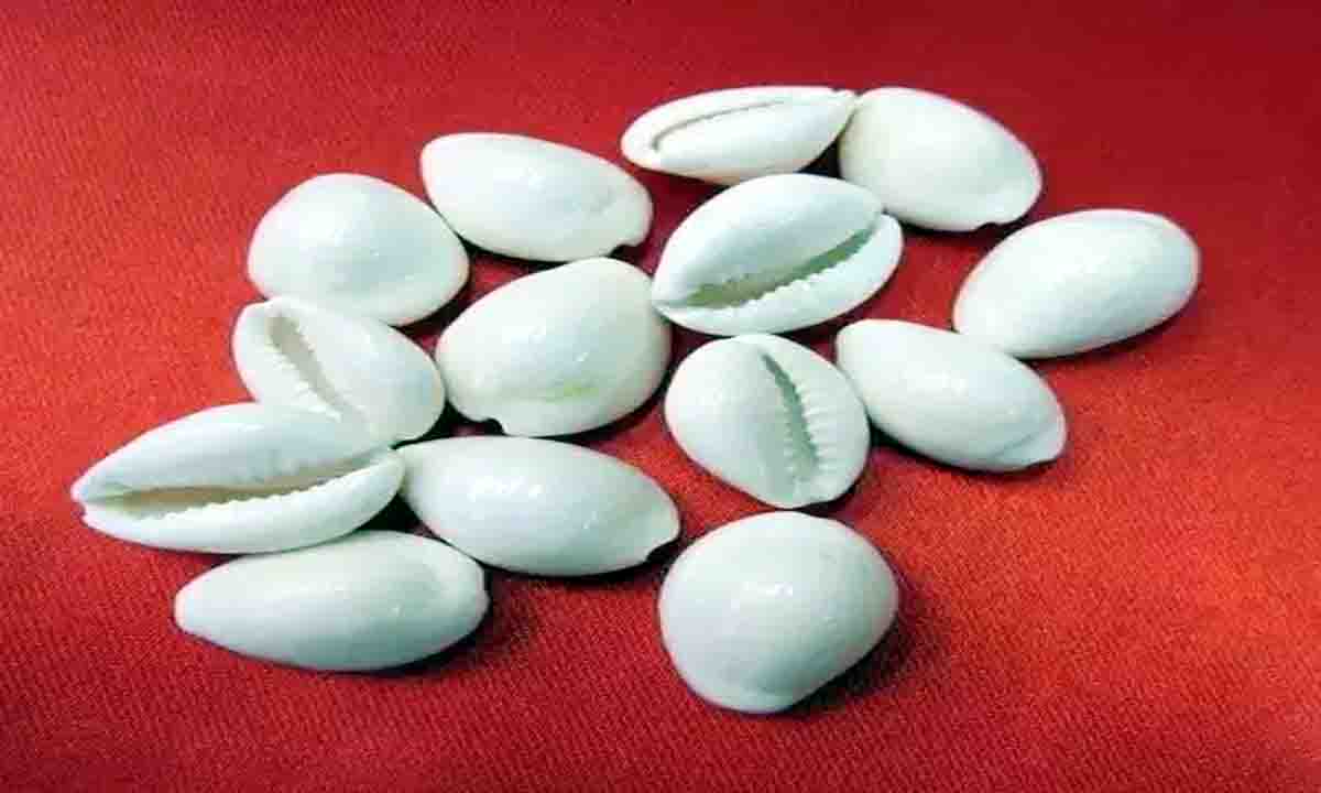 astrology news : शुक्रवार को घर की तिजोरी में रखे ये चीज़, धन का होगा लाभ