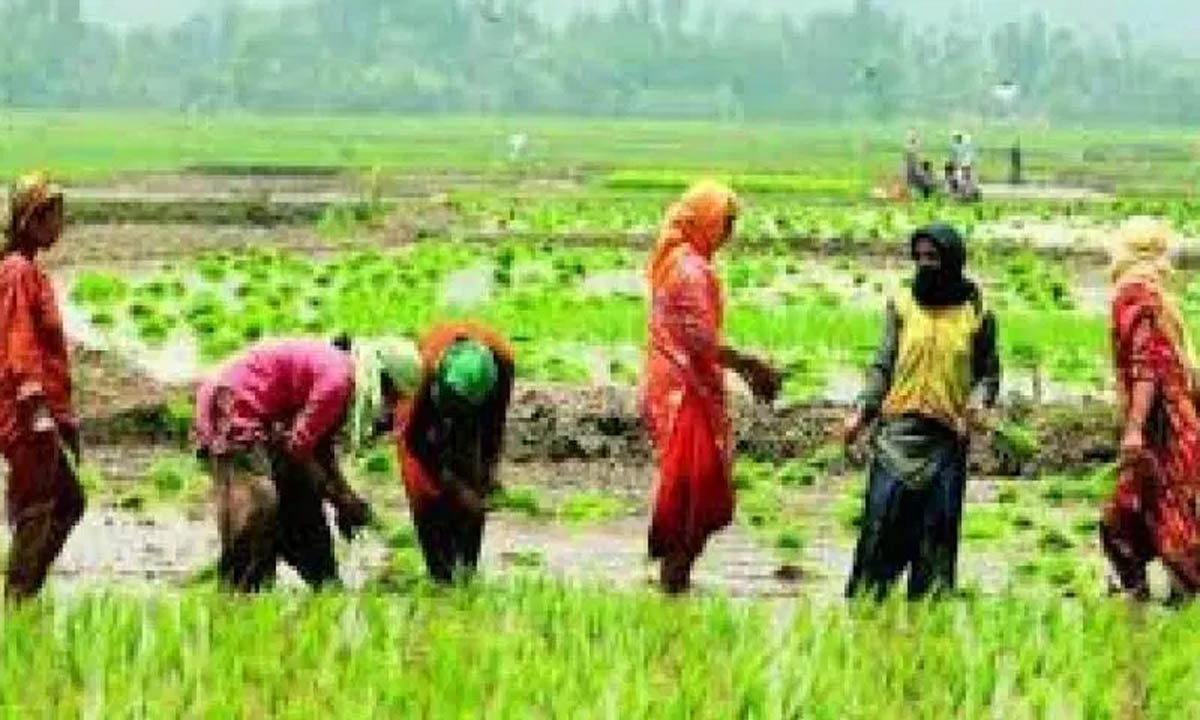 बिजली के झटके से तीन जिलों में किसानों की भारी मौत