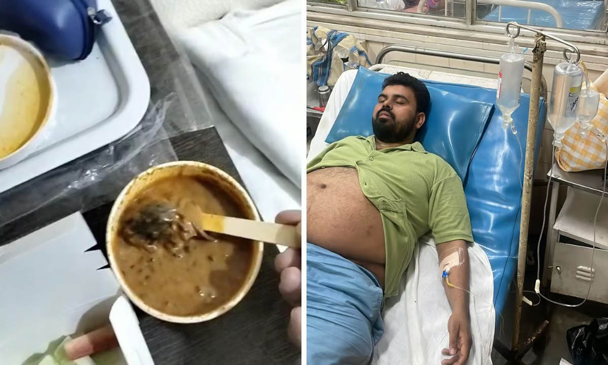 वकील के भोजन में निकला चूहा और कॉकरोच, हालत नाज़ुक