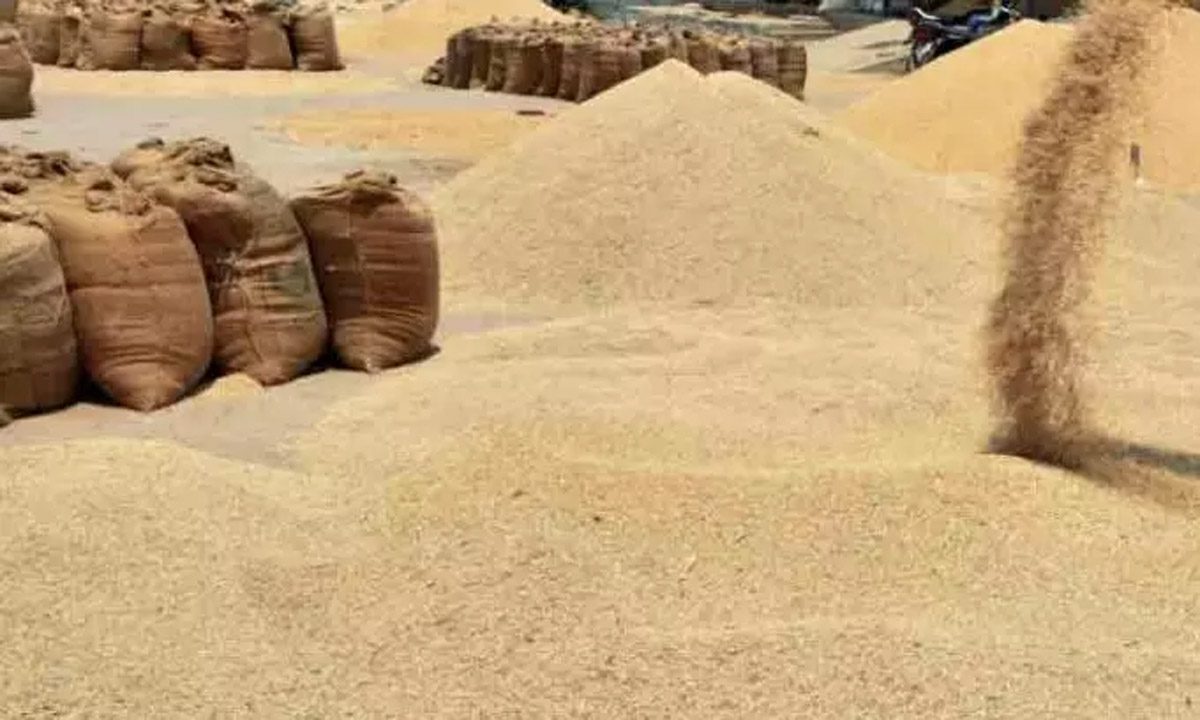 नागरिक आपूर्ति विभाग ने किया रिकॉर्ड रिकवरी का दावा