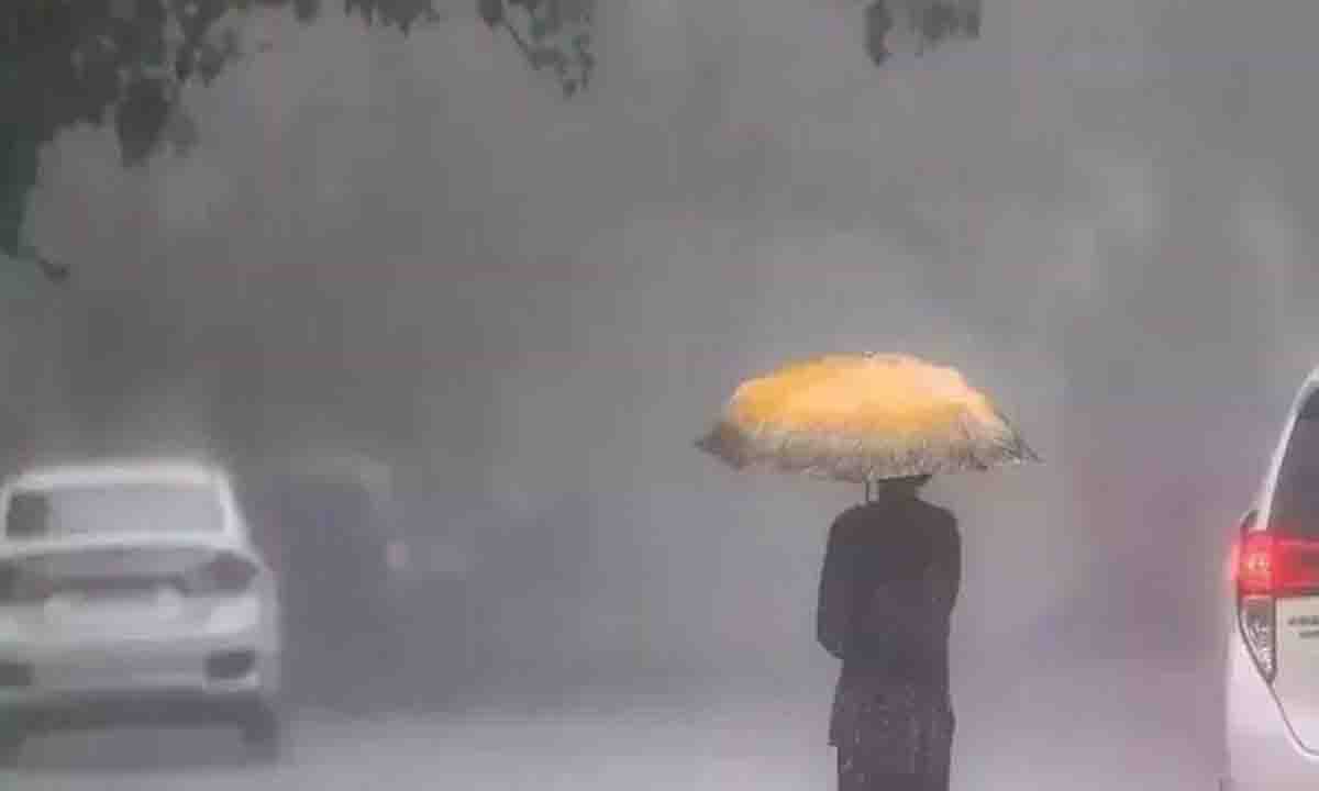 Water fell in half the state including Bhopal, chances of rain even today