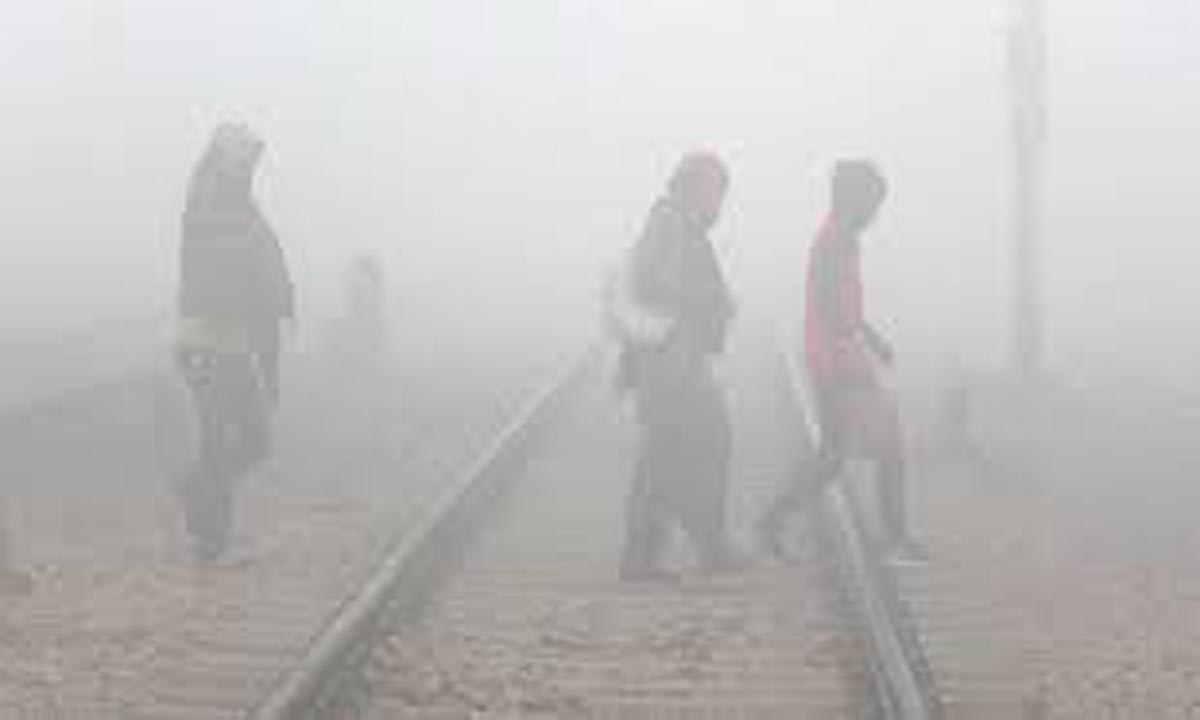 Weather Update : प्रदेश में जीरो पहुंचा पारा चार दिनों तक घने कोहरे की चेतावनी
