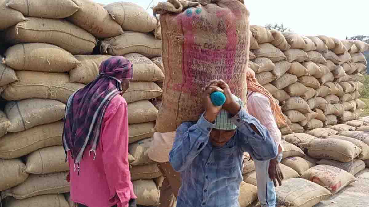 कस्टम मीलिंग के लिए 69.95 लाख मीट्रिक टन धान का उठाव