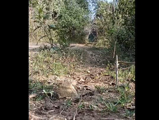 वीडियो, CRPF-DRG जवानों ने किया 15KG के IED बम डिफ्यूज