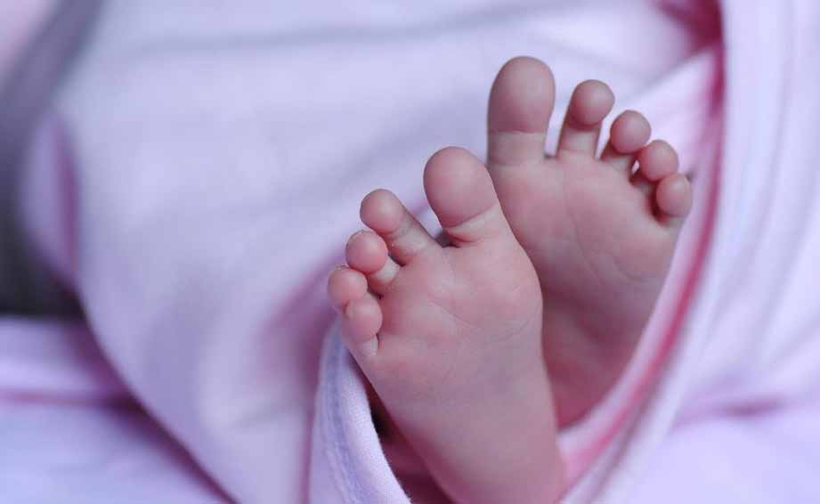 खेत में नवजात शिशु का मिला शव, गायब था एक पैर