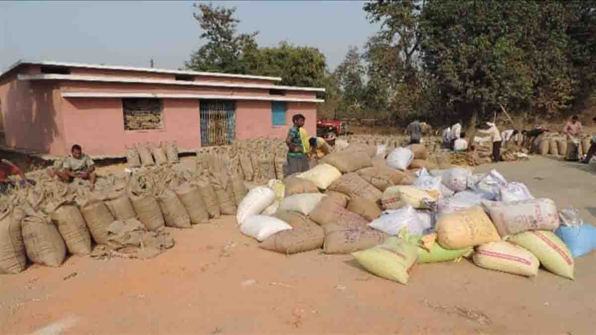 शनिवार और रविवार को भी होगी धान खरीदी, राज्य सरकार ने लिया बड़ा फैसला