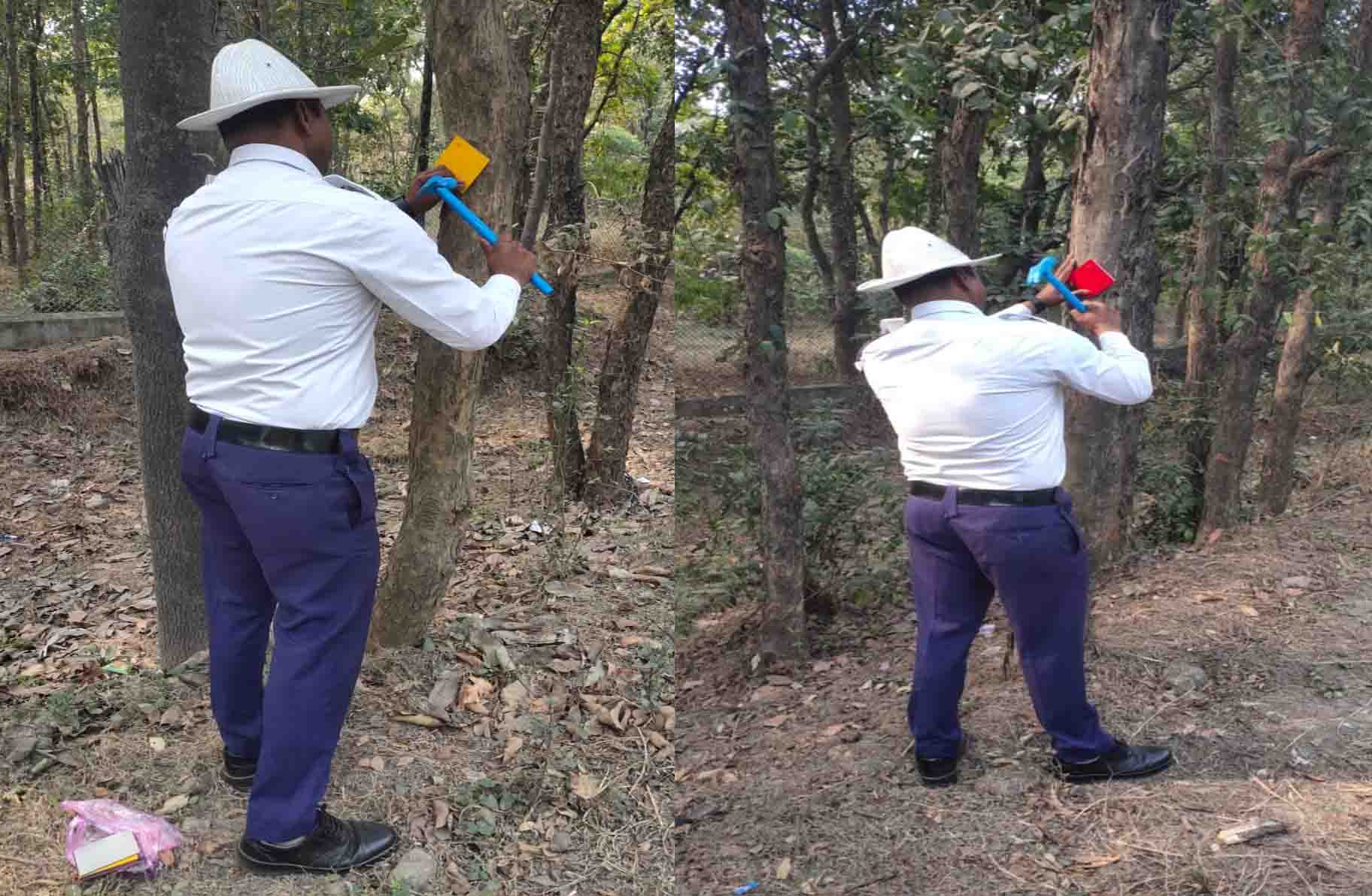 जांजगीर चांपा पुलिस ने पेड़ो में लगाए रेडियम के रिफ्लेक्टर