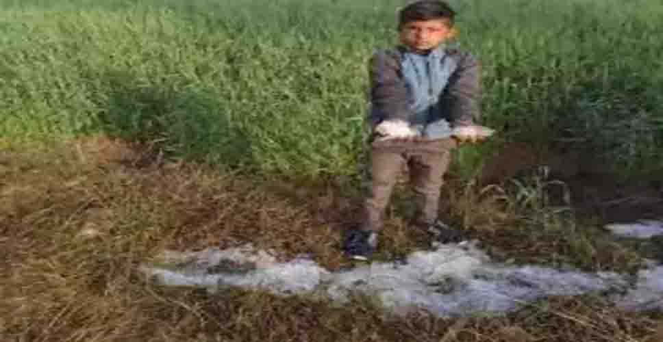 फसलों पर जमने लगी बर्फ, किसानों में बढ़ी चिंता