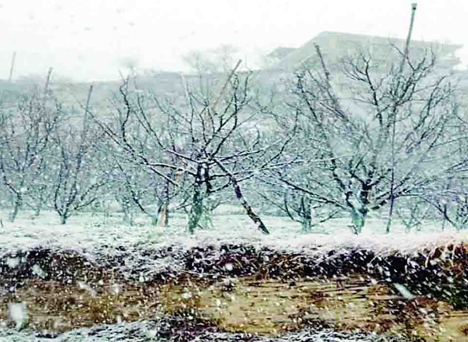 सूखे ने डराए बागबान, ठप पड़ गए जरूरी काम