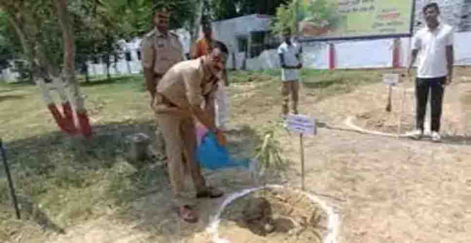 पर्यावरण बिगड़ने लगा, पेड़-पौधों पर समय से पहले फूल खिलने लगे