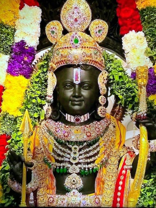 प्राणियों, पक्षियों समेत चारों दिशाओं में चली राम नाम की लहर : रमन सिंह