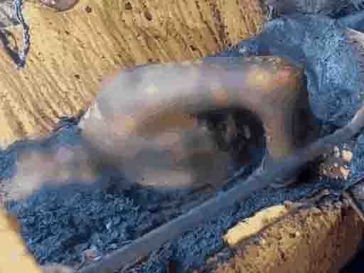 पति ने पत्नी को जिंदा जलाया, कार से मिली लाश