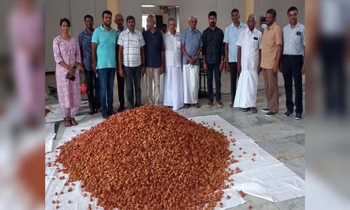 तमिलनाडु के पोलाची में जायफल किसानों को 75 लाख रुपये का ऑर्डर मिला