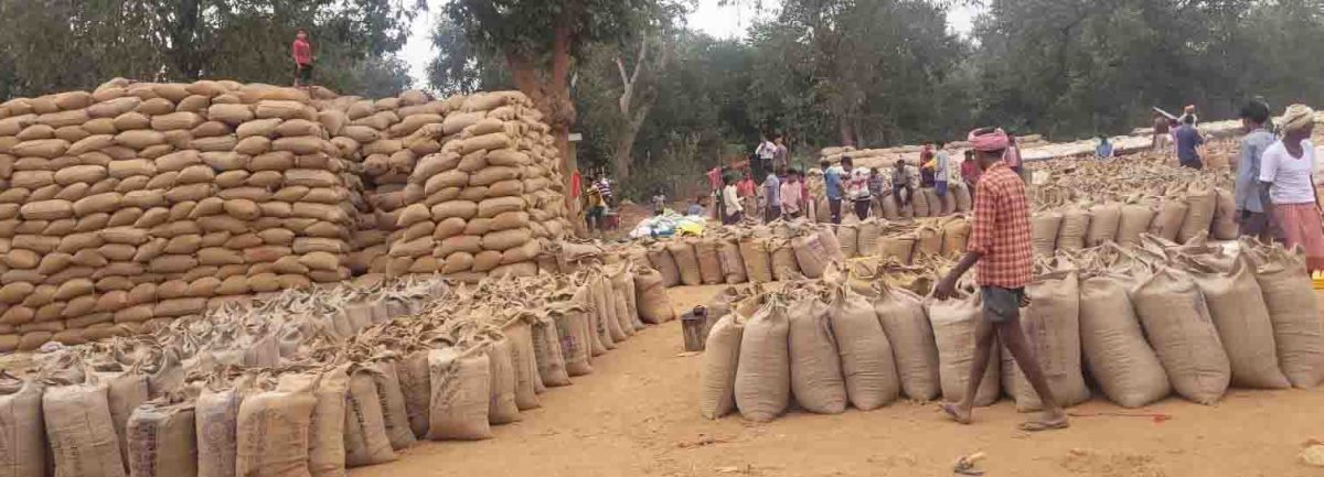 कस्टम मीलिंग के लिए 74 लाख मीट्रिक टन धान का उठाव